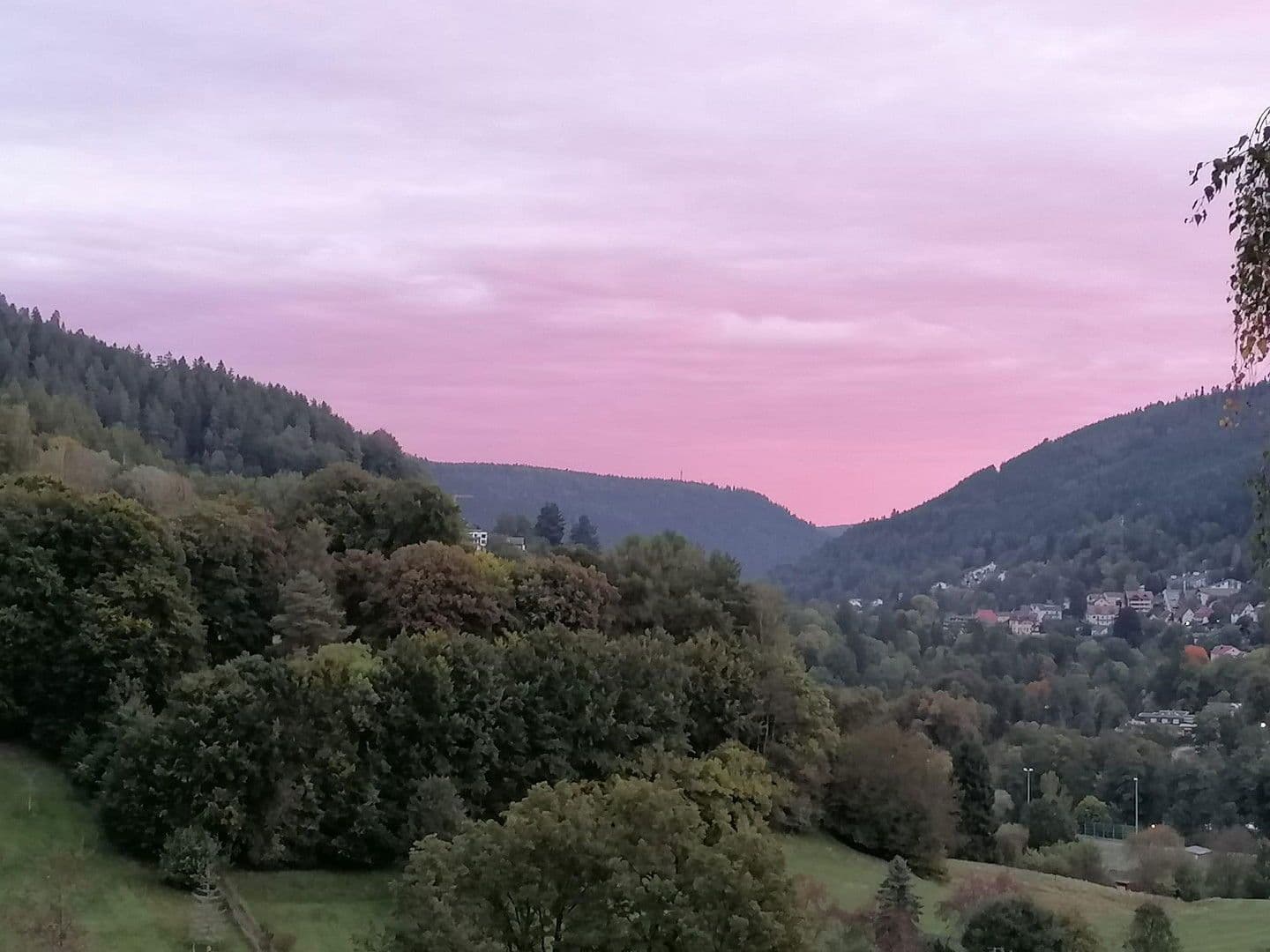 Prodej domu 253 m², pozemek 6.000 m², Ziegelhüttenstr 130, Bad Wildbad, Bádensko-Württembersko Prodej domu 253 m², pozemek 6.000 m², Ziegelhüttenstr 130, Bad Wildbad, Bádensko-Württembersko