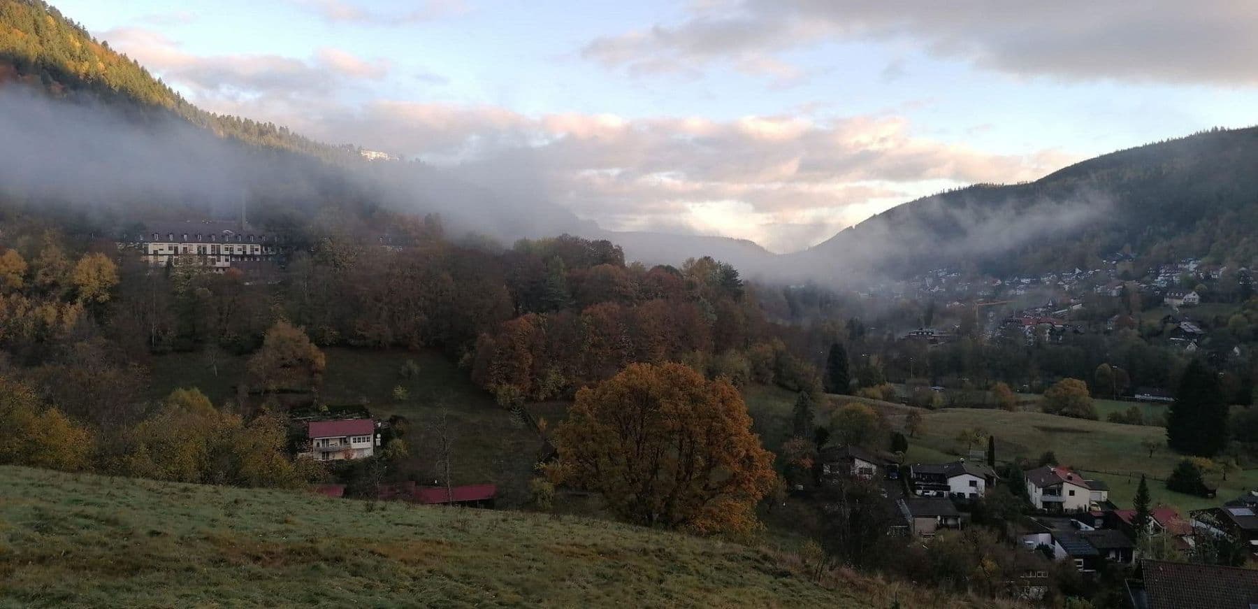 Prodej domu 253 m², pozemek 6.000 m², Ziegelhüttenstr 130, Bad Wildbad, Bádensko-Württembersko Prodej domu 253 m², pozemek 6.000 m², Ziegelhüttenstr 130, Bad Wildbad, Bádensko-Württembersko