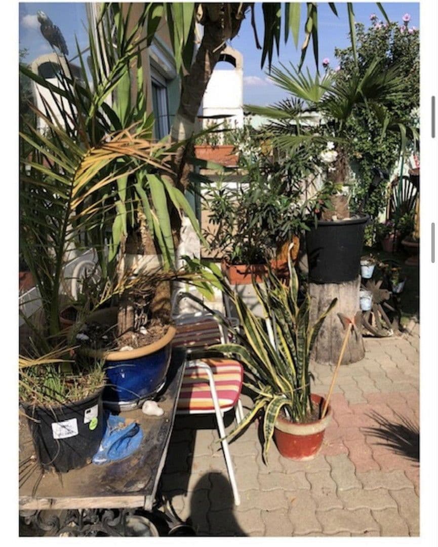 Prodej domu 110 m², pozemek 544 m², Laa an der Thaya, Dolní Rakousko Prodej domu 110 m², pozemek 544 m², Laa an der Thaya, Dolní Rakousko