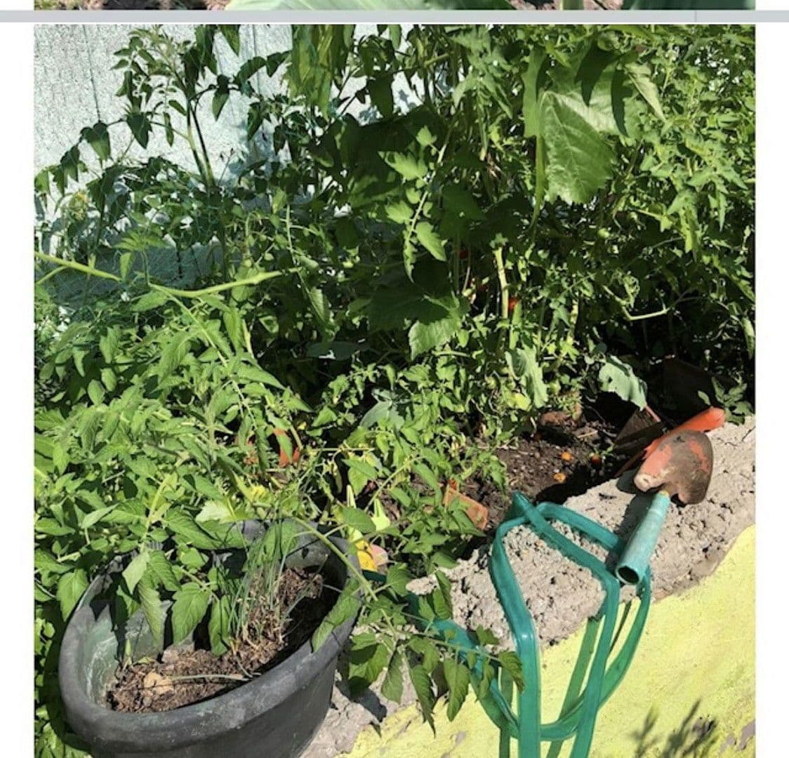 Prodej domu 110 m², pozemek 544 m², Laa an der Thaya, Dolní Rakousko Prodej domu 110 m², pozemek 544 m², Laa an der Thaya, Dolní Rakousko