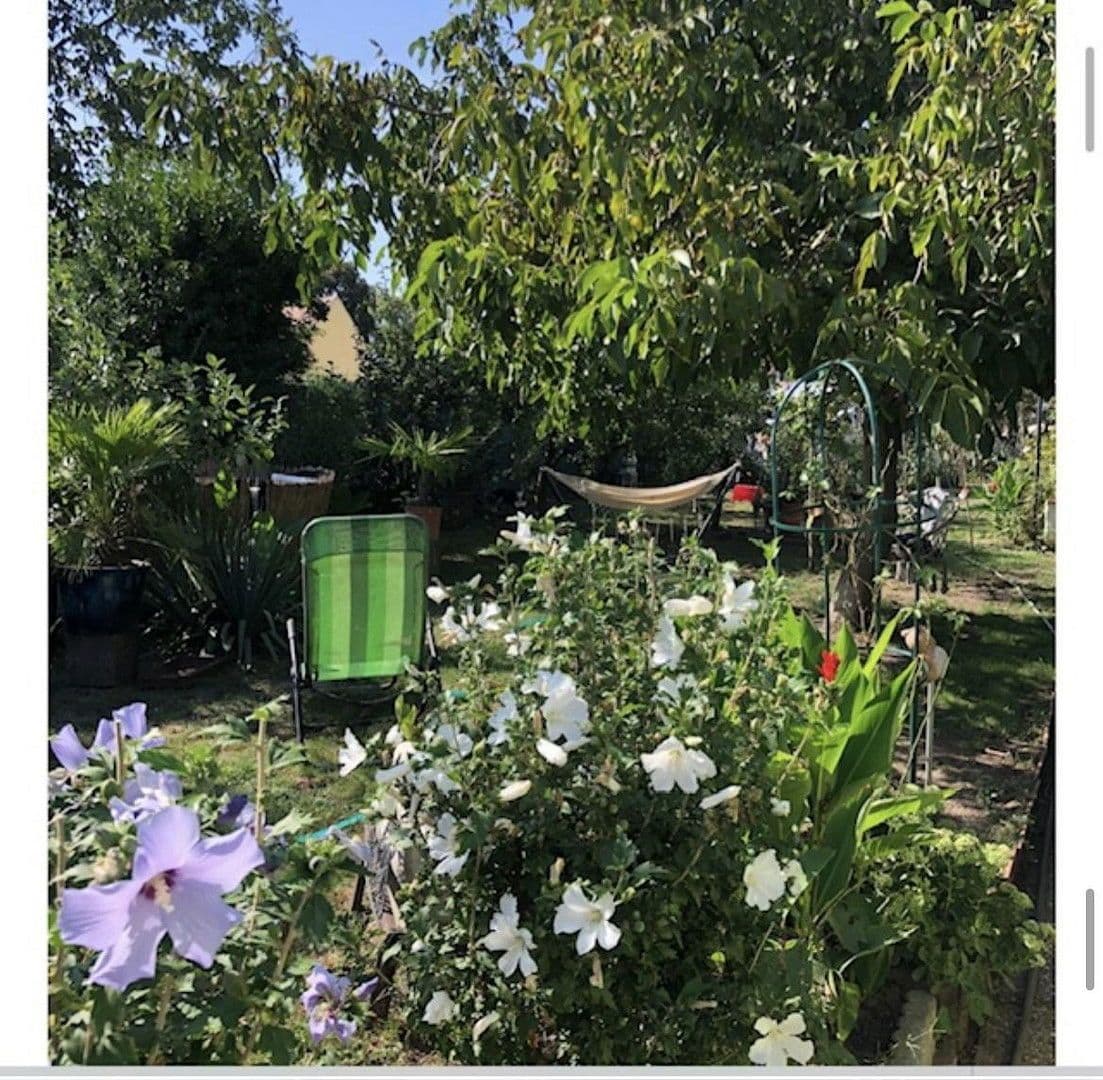 Prodej domu 110 m², pozemek 544 m², Laa an der Thaya, Dolní Rakousko Prodej domu 110 m², pozemek 544 m², Laa an der Thaya, Dolní Rakousko