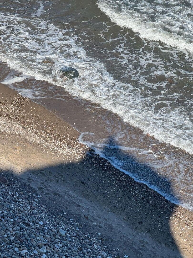 Prodej bytu 2+1 42 m², Brodersby, Šlesvicko-Holštýnsko Prodej bytu 2+1 42 m², Brodersby, Šlesvicko-Holštýnsko