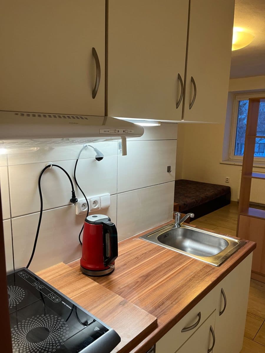 Pronájem bytu 1+kk 22 m², Černovírská, Olomouc, Olomoucký kraj Pronájem bytu 1+kk 22 m², Černovírská, Olomouc, Olomoucký kraj