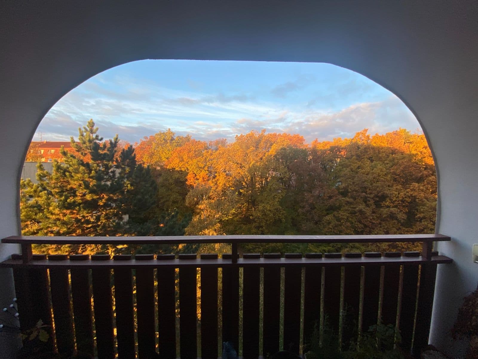 Prodej bytu 3+kk 75 m², Chopinova, Brno, Jihomoravský kraj Prodej bytu 3+kk 75 m², Chopinova, Brno, Jihomoravský kraj