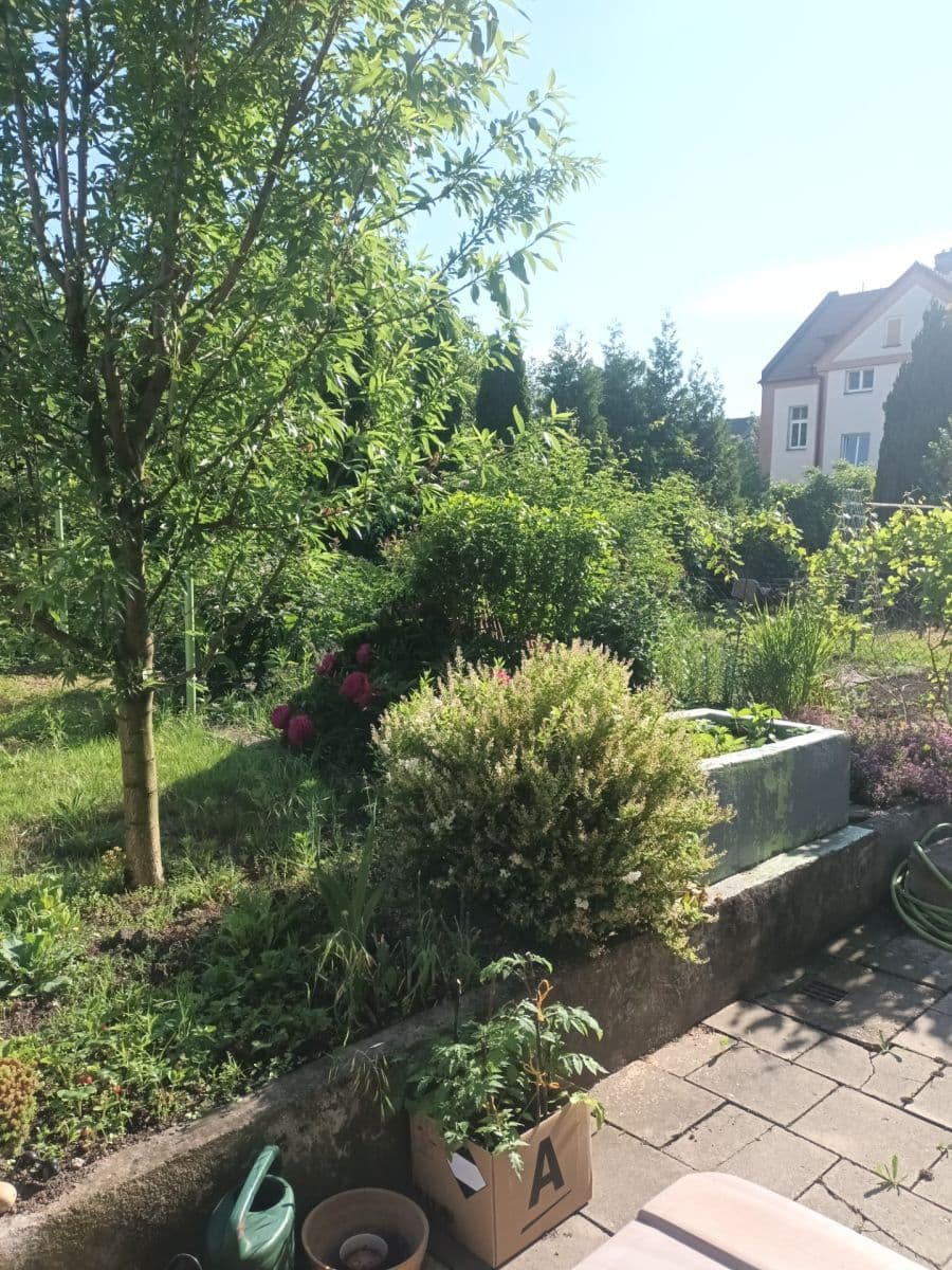 Prodej bytu 1+kk 39 m², Ibsenova, Olomouc, Olomoucký kraj Prodej bytu 1+kk 39 m², Ibsenova, Olomouc, Olomoucký kraj