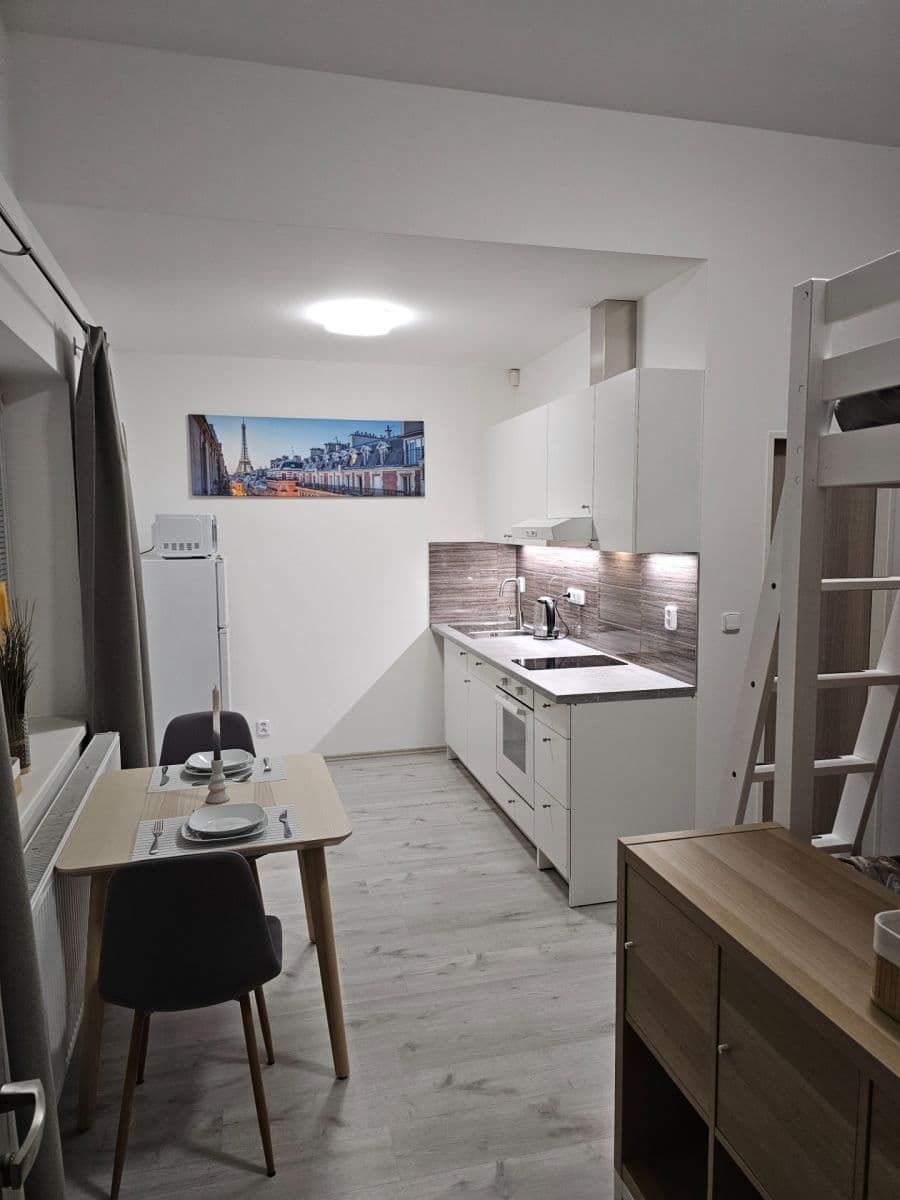 Pronájem bytu 1+kk 24 m², Vrapická, Kladno, Středočeský kraj Pronájem bytu 1+kk 24 m², Vrapická, Kladno, Středočeský kraj