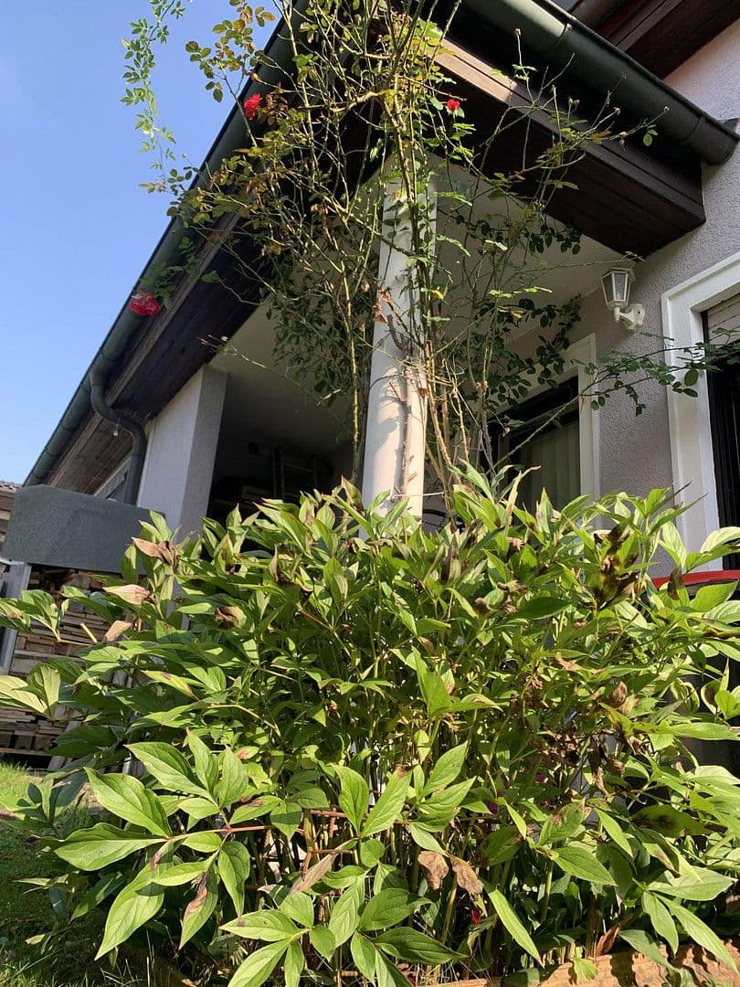 Prodej domu 137 m², pozemek 303 m², Enns - Kristein, End, Horní Rakousko Prodej domu 137 m², pozemek 303 m², Enns - Kristein, End, Horní Rakousko