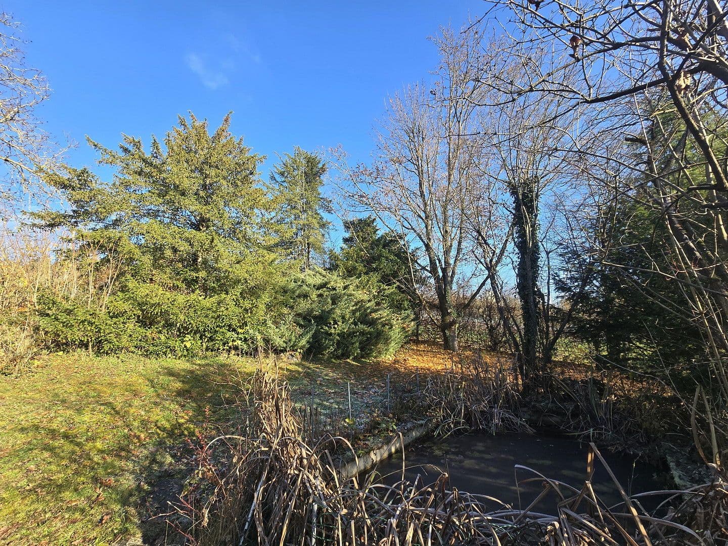 Prodej domu 300 m², pozemek 2.441 m², Triefenstein, Bavorsko Prodej domu 300 m², pozemek 2.441 m², Triefenstein, Bavorsko