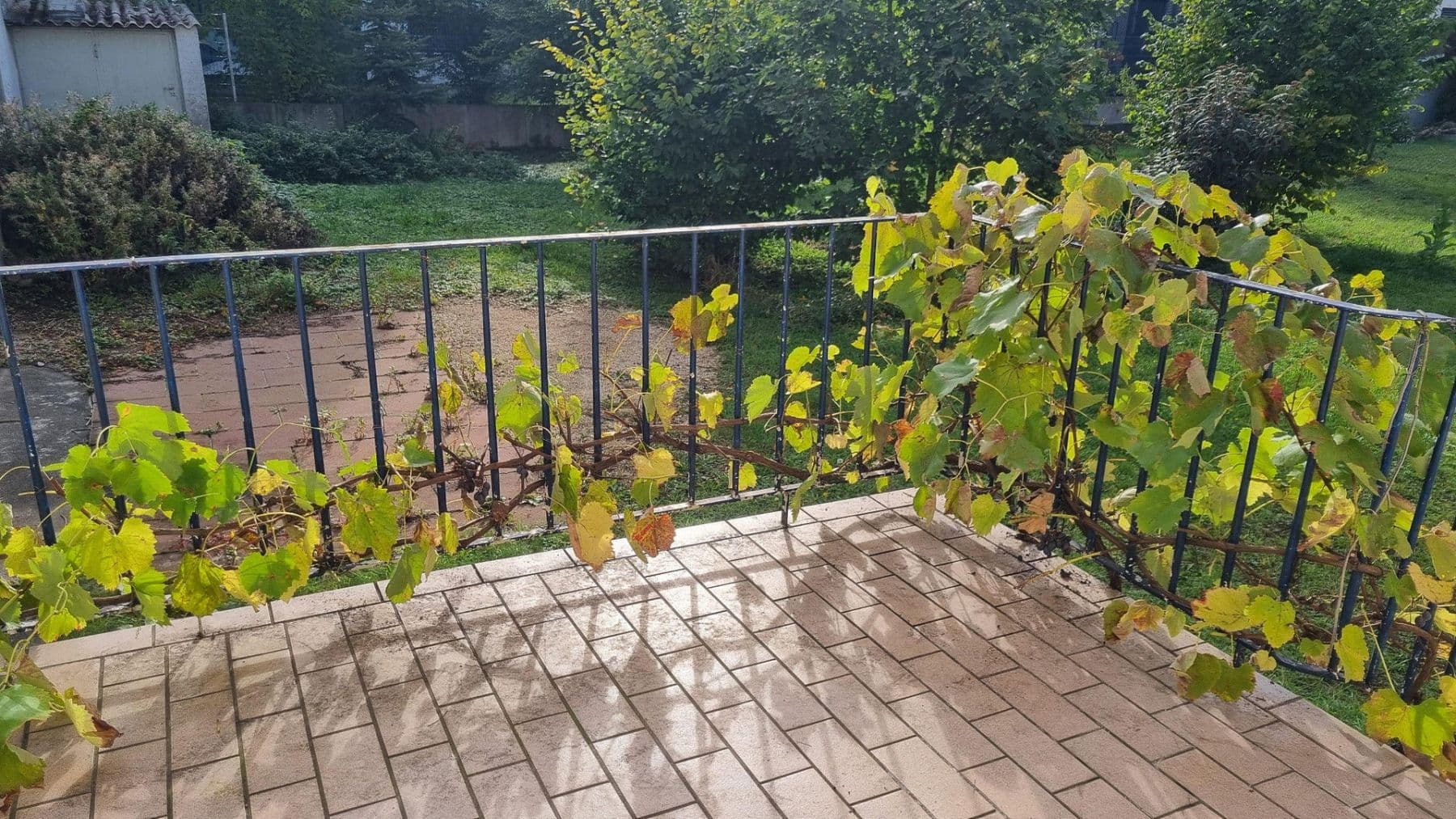 Pronájem bytu 3+1 70 m², Ingolstadt, Bavorsko Pronájem bytu 3+1 70 m², Ingolstadt, Bavorsko