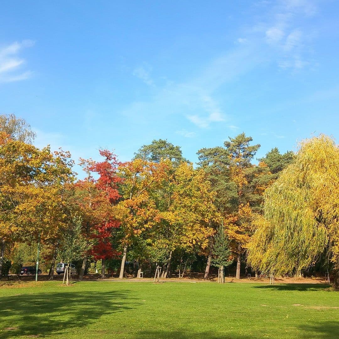 Prodej domu 98 m², pozemek 520 m², Kyritz, Braniborsko Prodej domu 98 m², pozemek 520 m², Kyritz, Braniborsko