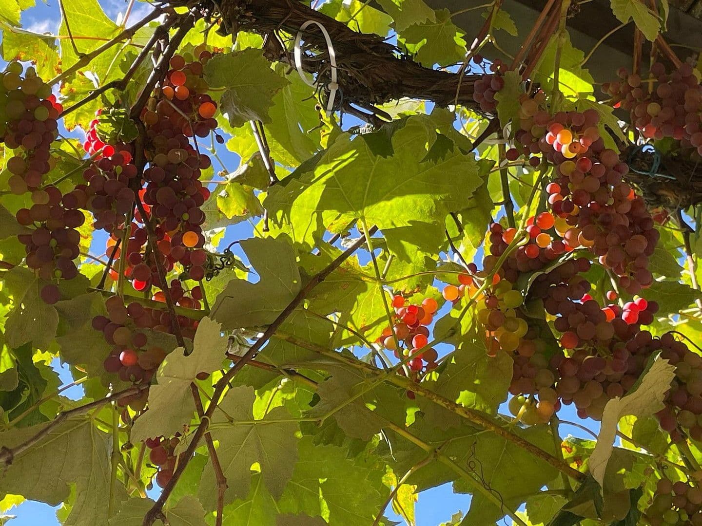 Pronájem bytu 6+1 180 m², Gilching, Bavorsko Pronájem bytu 6+1 180 m², Gilching, Bavorsko