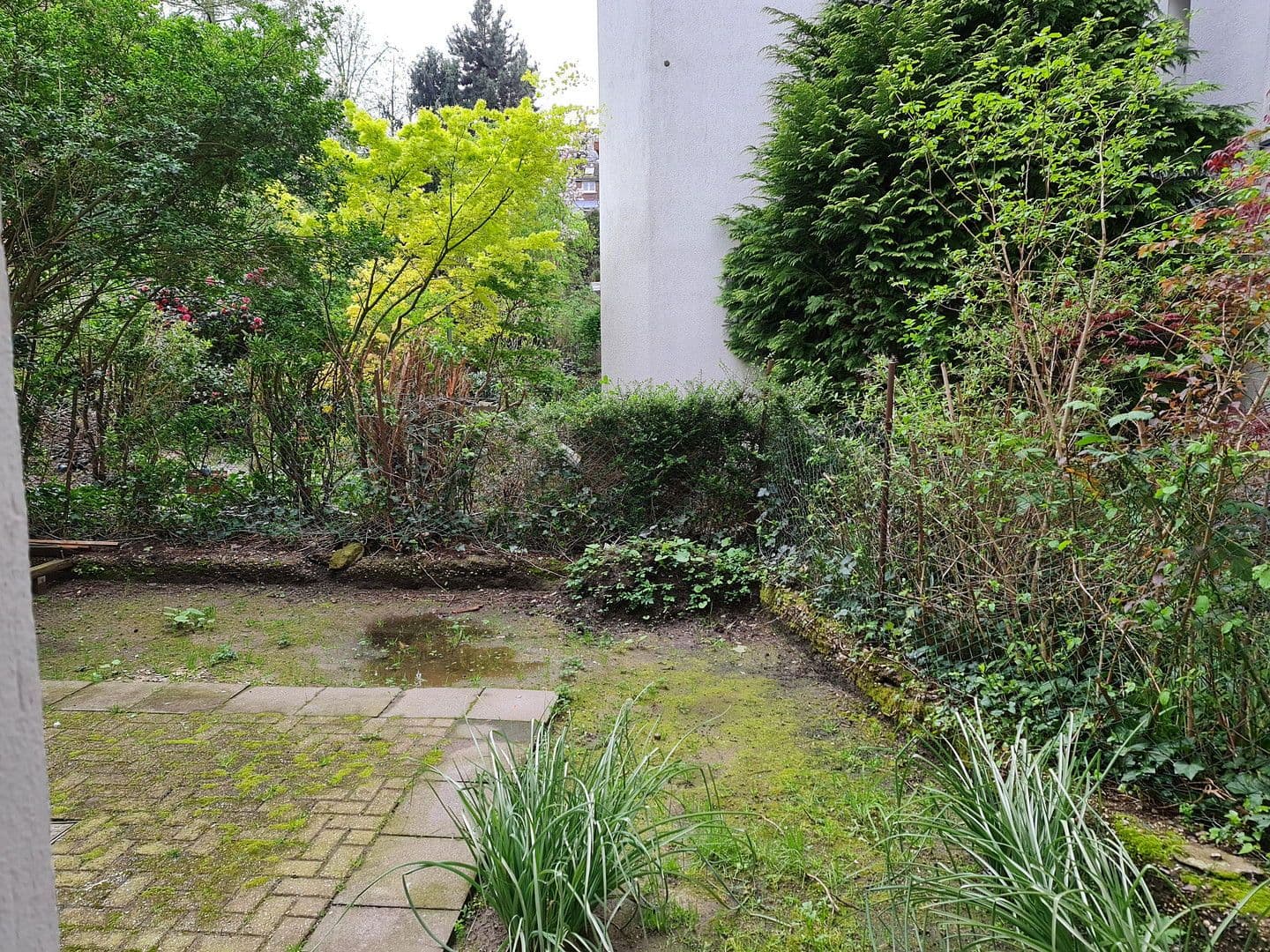 Pronájem bytu 2+1 60 m², Düsseldorf, Severní Porýní-Vestfálsko Pronájem bytu 2+1 60 m², Düsseldorf, Severní Porýní-Vestfálsko