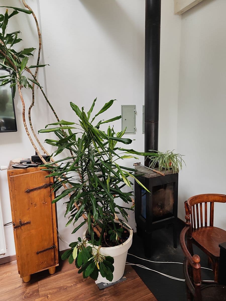 Prodej bytu 3+1 117 m², Merhautova, Brno, Jihomoravský kraj Prodej bytu 3+1 117 m², Merhautova, Brno, Jihomoravský kraj