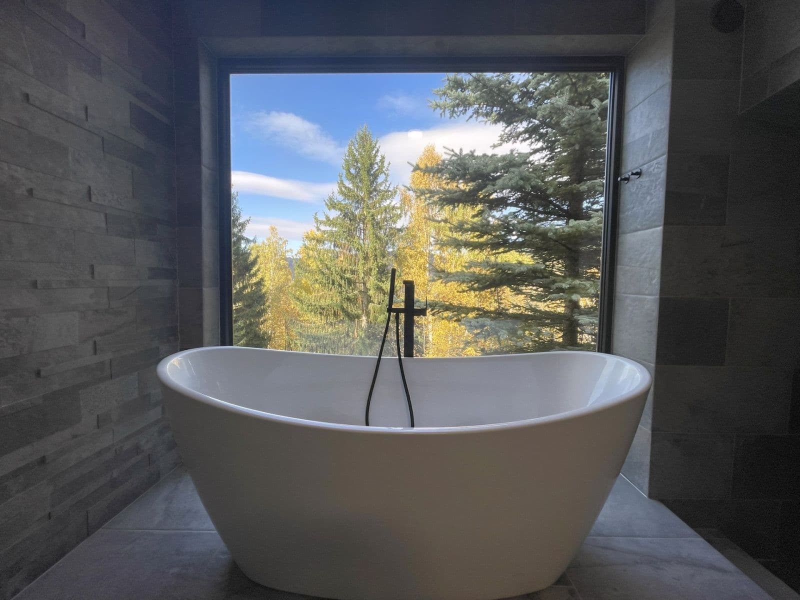 Prodej domu 271 m², pozemek 2.776 m², Pustinská, Desná, Liberecký kraj Prodej domu 271 m², pozemek 2.776 m², Pustinská, Desná, Liberecký kraj