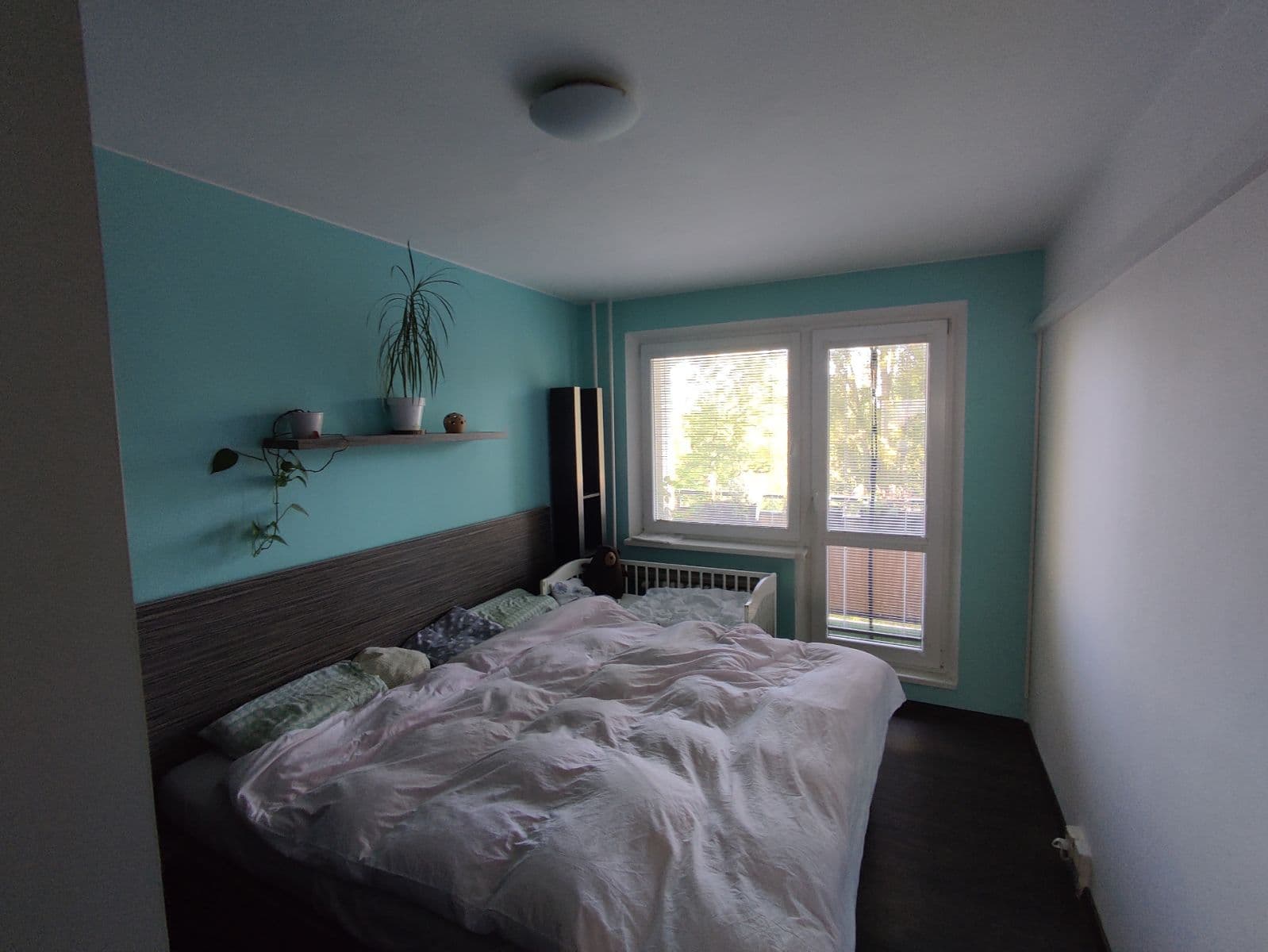 Pronájem bytu 3+1 68 m², Fischerova, Olomouc, Olomoucký kraj Pronájem bytu 3+1 68 m², Fischerova, Olomouc, Olomoucký kraj