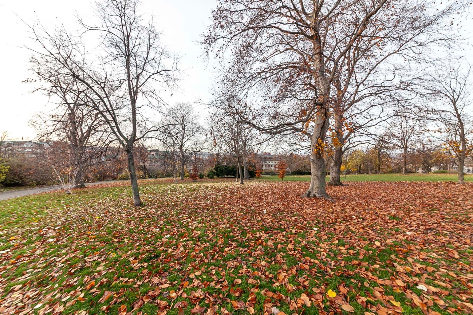 Prodej bytu 2+1 55 m², Budečská, Praha, Praha Prodej bytu 2+1 55 m², Budečská, Praha, Praha