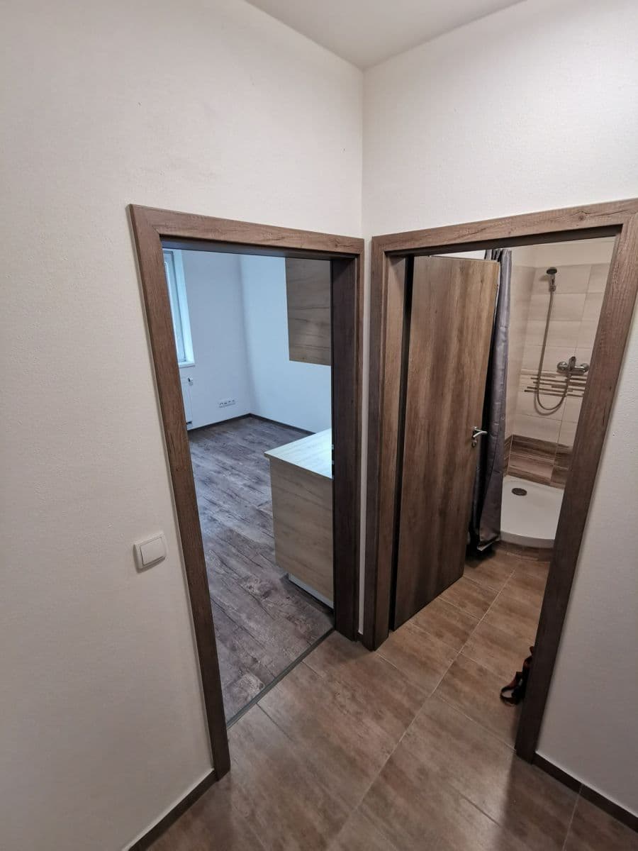 Pronájem bytu 1+kk 21 m², Mikšíčkova, Brno, Jihomoravský kraj Pronájem bytu 1+kk 21 m², Mikšíčkova, Brno, Jihomoravský kraj