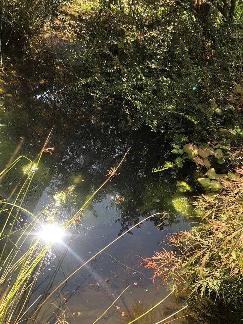 Prodej bytu 4+1 107 m², München, Bavorsko Prodej bytu 4+1 107 m², München, Bavorsko