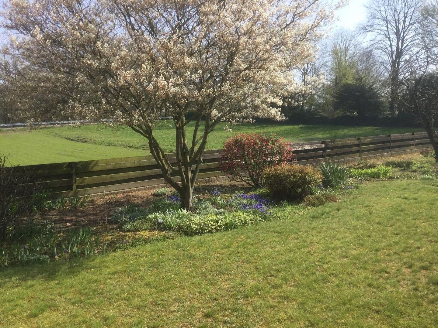 Pronájem domu 140 m², pozemek 1.000 m², Bad Oeynhausen, Severní Porýní-Vestfálsko Pronájem domu 140 m², pozemek 1.000 m², Bad Oeynhausen, Severní Porýní-Vestfálsko