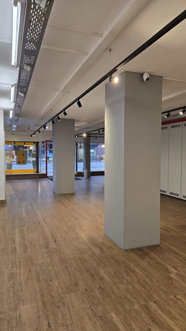 Pronájem nebytového prostoru 310 m², Scheffelstraße 5, Singen (Hohentwiel), Bádensko-Württembersko Pronájem nebytového prostoru 310 m², Scheffelstraße 5, Singen (Hohentwiel), Bádensko-Württembersko