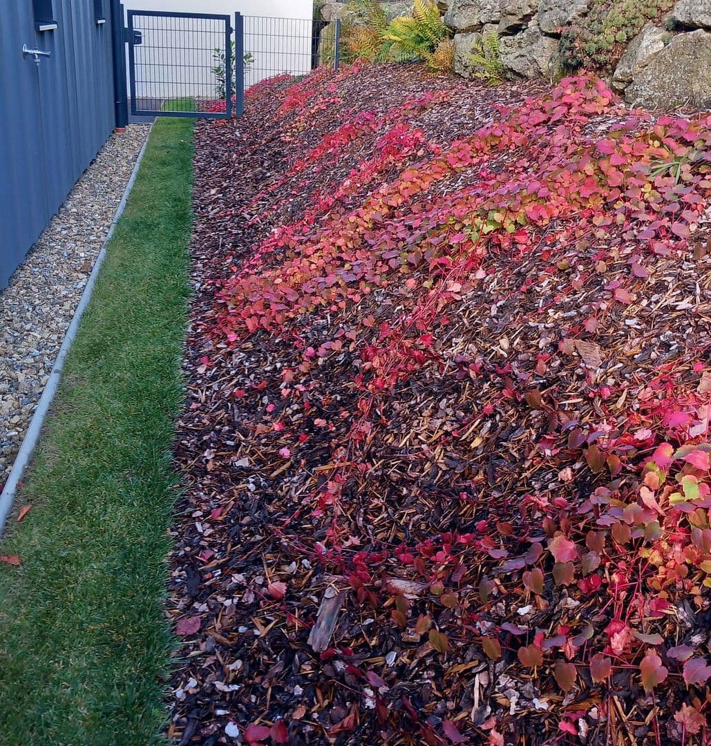 Prodej domu 223 m², pozemek 773 m², Nöchling, Dolní Rakousko Prodej domu 223 m², pozemek 773 m², Nöchling, Dolní Rakousko