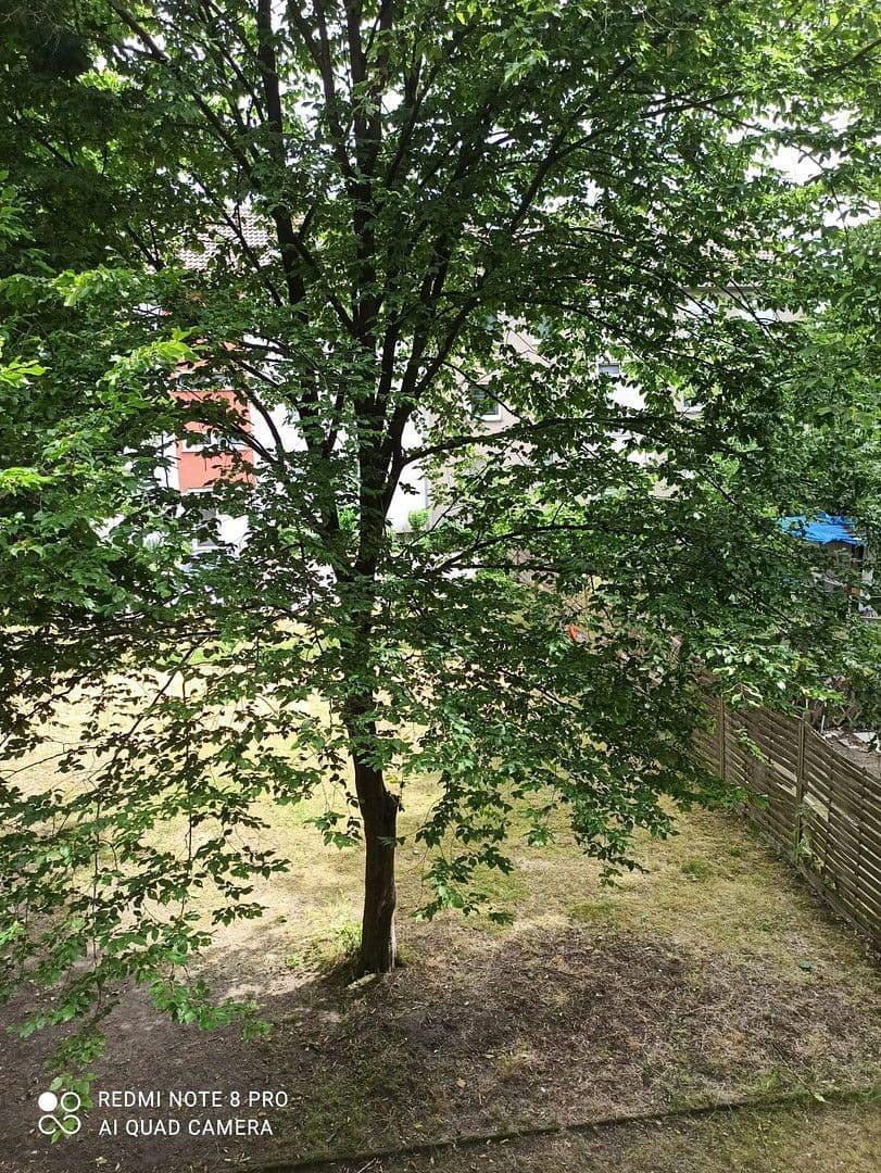 Pronájem bytu 3+1 62 m², Arenbergstr. 90, Oberhausen, Severní Porýní-Vestfálsko Pronájem bytu 3+1 62 m², Arenbergstr. 90, Oberhausen, Severní Porýní-Vestfálsko