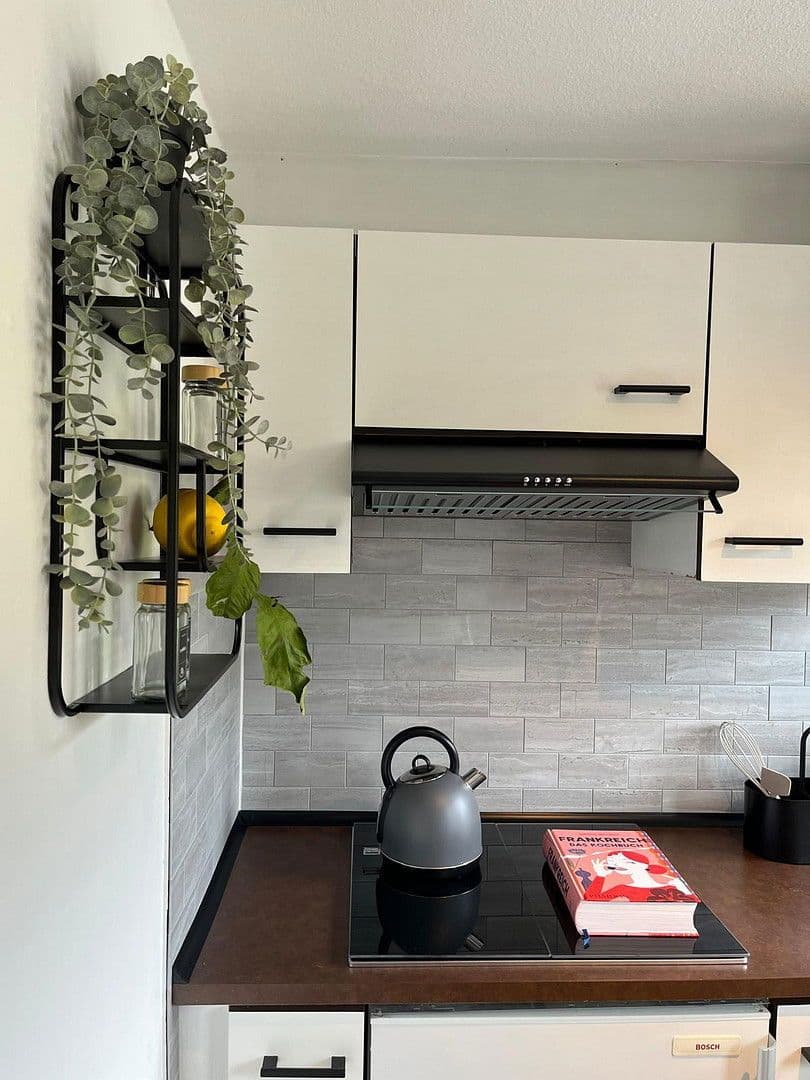 Pronájem bytu 2+1 39 m², Tübingen, Bádensko-Württembersko Pronájem bytu 2+1 39 m², Tübingen, Bádensko-Württembersko