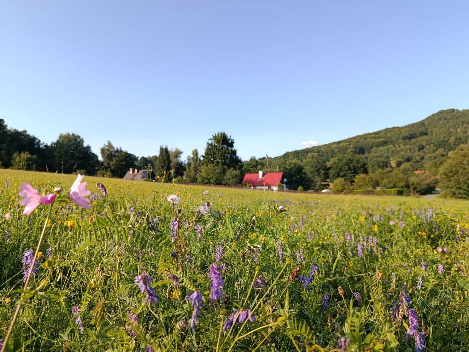 Prodej domu 100 m², pozemek 2.200 m², Žandov, Liberecký kraj Prodej domu 100 m², pozemek 2.200 m², Žandov, Liberecký kraj