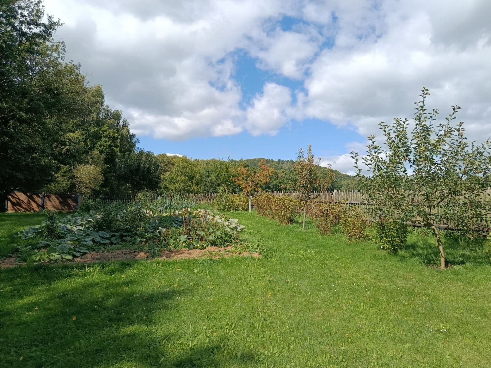 Prodej domu 100 m², pozemek 2.200 m², Žandov, Liberecký kraj Prodej domu 100 m², pozemek 2.200 m², Žandov, Liberecký kraj