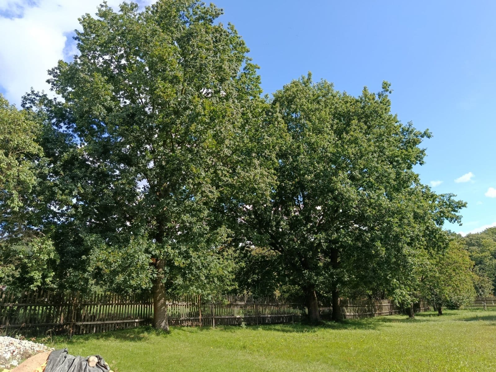 Prodej domu 100 m², pozemek 2.200 m², Žandov, Liberecký kraj Prodej domu 100 m², pozemek 2.200 m², Žandov, Liberecký kraj