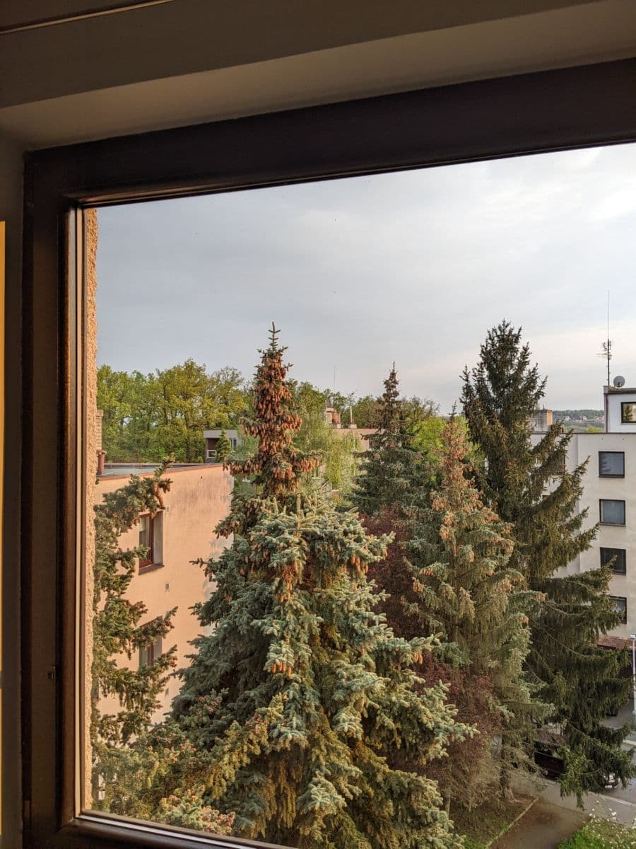 Pronájem bytu 2+kk 47 m², Nad Palatou, Praha, Praha Pronájem bytu 2+kk 47 m², Nad Palatou, Praha, Praha