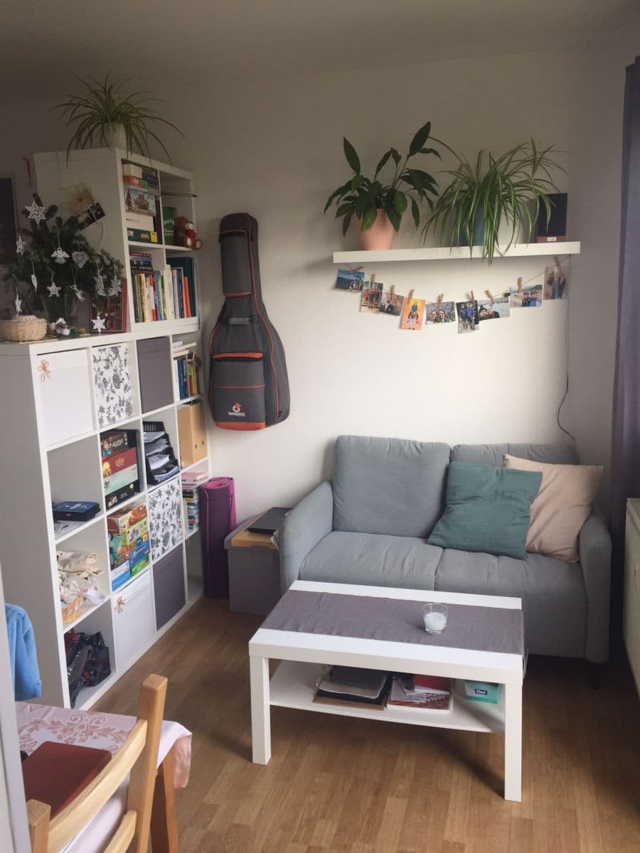 Pronájem bytu 1+kk 30 m², Bednářova, Brno, Jihomoravský kraj Pronájem bytu 1+kk 30 m², Bednářova, Brno, Jihomoravský kraj