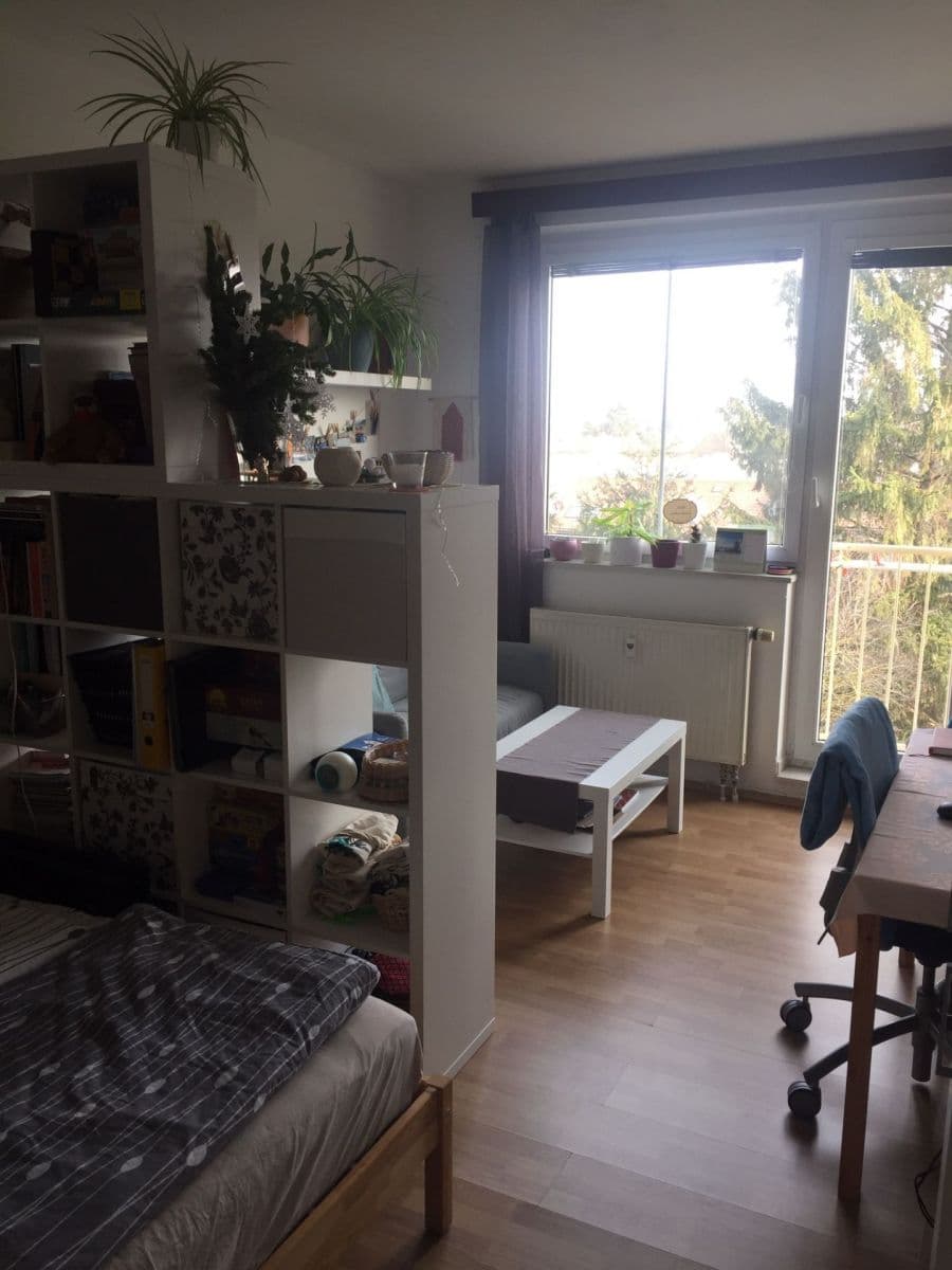 Pronájem bytu 1+kk 30 m², Bednářova, Brno, Jihomoravský kraj Pronájem bytu 1+kk 30 m², Bednářova, Brno, Jihomoravský kraj