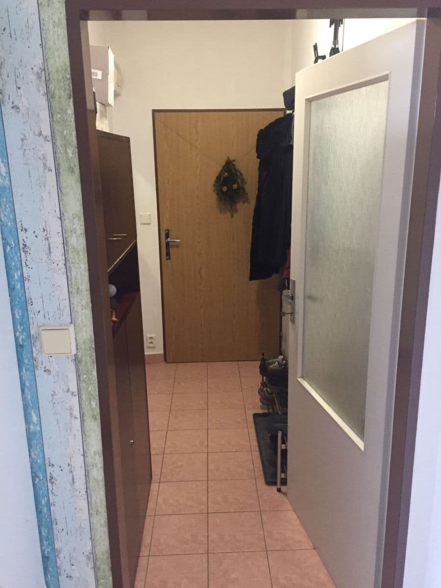 Pronájem bytu 1+kk 30 m², Bednářova, Brno, Jihomoravský kraj Pronájem bytu 1+kk 30 m², Bednářova, Brno, Jihomoravský kraj