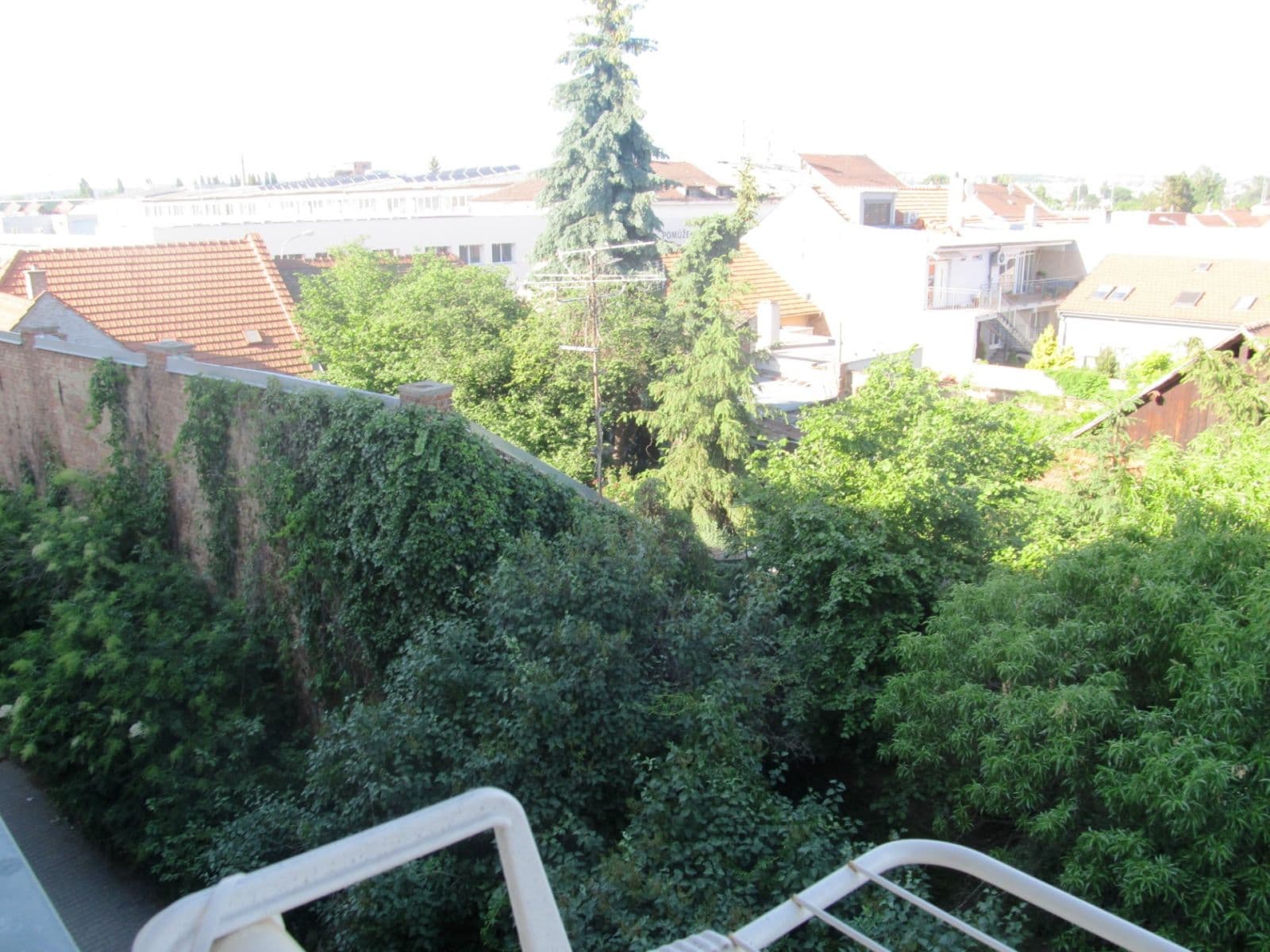 Pronájem bytu 1+kk 30 m², Bednářova, Brno, Jihomoravský kraj Pronájem bytu 1+kk 30 m², Bednářova, Brno, Jihomoravský kraj