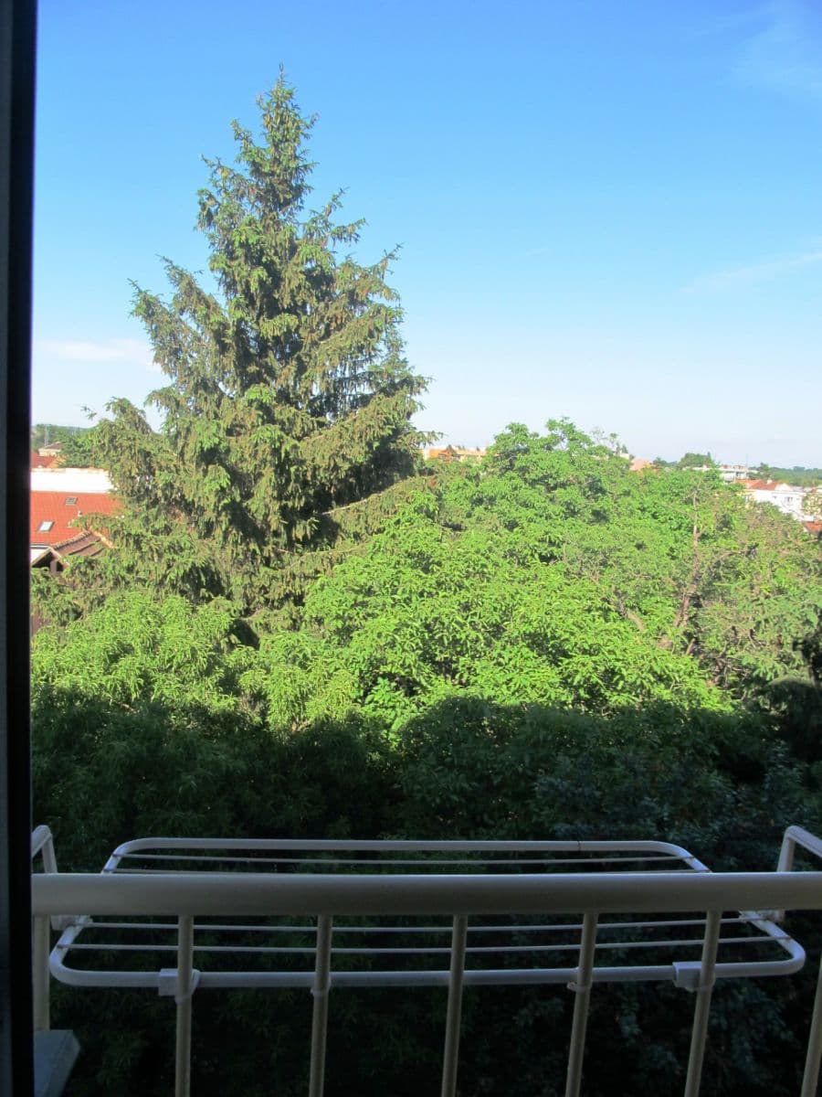 Pronájem bytu 1+kk 30 m², Bednářova, Brno, Jihomoravský kraj Pronájem bytu 1+kk 30 m², Bednářova, Brno, Jihomoravský kraj