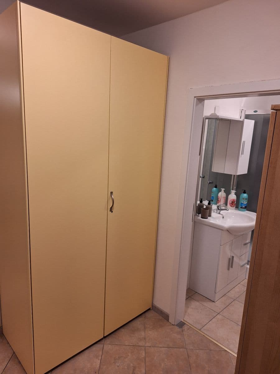 Pronájem bytu 1+kk 25 m², V Tůních, Praha, Praha Pronájem bytu 1+kk 25 m², V Tůních, Praha, Praha