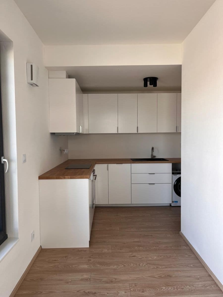 Pronájem bytu 1+kk 40 m², Bratislavská, Brno, Jihomoravský kraj Pronájem bytu 1+kk 40 m², Bratislavská, Brno, Jihomoravský kraj