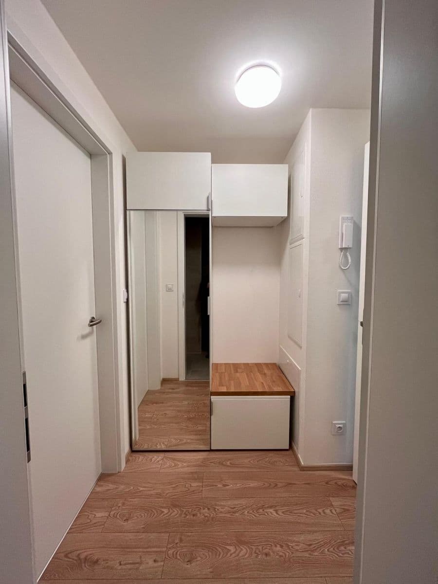 Pronájem bytu 1+kk 40 m², Bratislavská, Brno, Jihomoravský kraj Pronájem bytu 1+kk 40 m², Bratislavská, Brno, Jihomoravský kraj