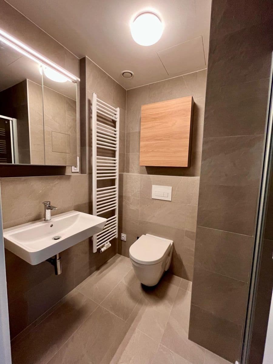 Pronájem bytu 1+kk 40 m², Bratislavská, Brno, Jihomoravský kraj Pronájem bytu 1+kk 40 m², Bratislavská, Brno, Jihomoravský kraj