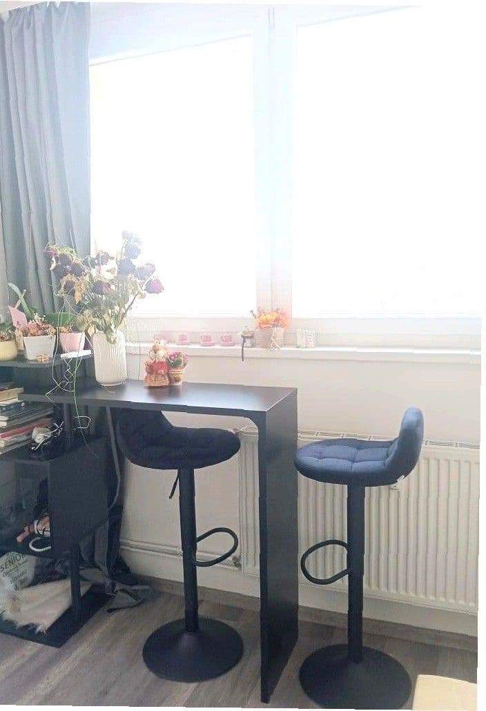 Pronájem bytu 1+kk 23 m², Děčínská, Praha, Praha Pronájem bytu 1+kk 23 m², Děčínská, Praha, Praha