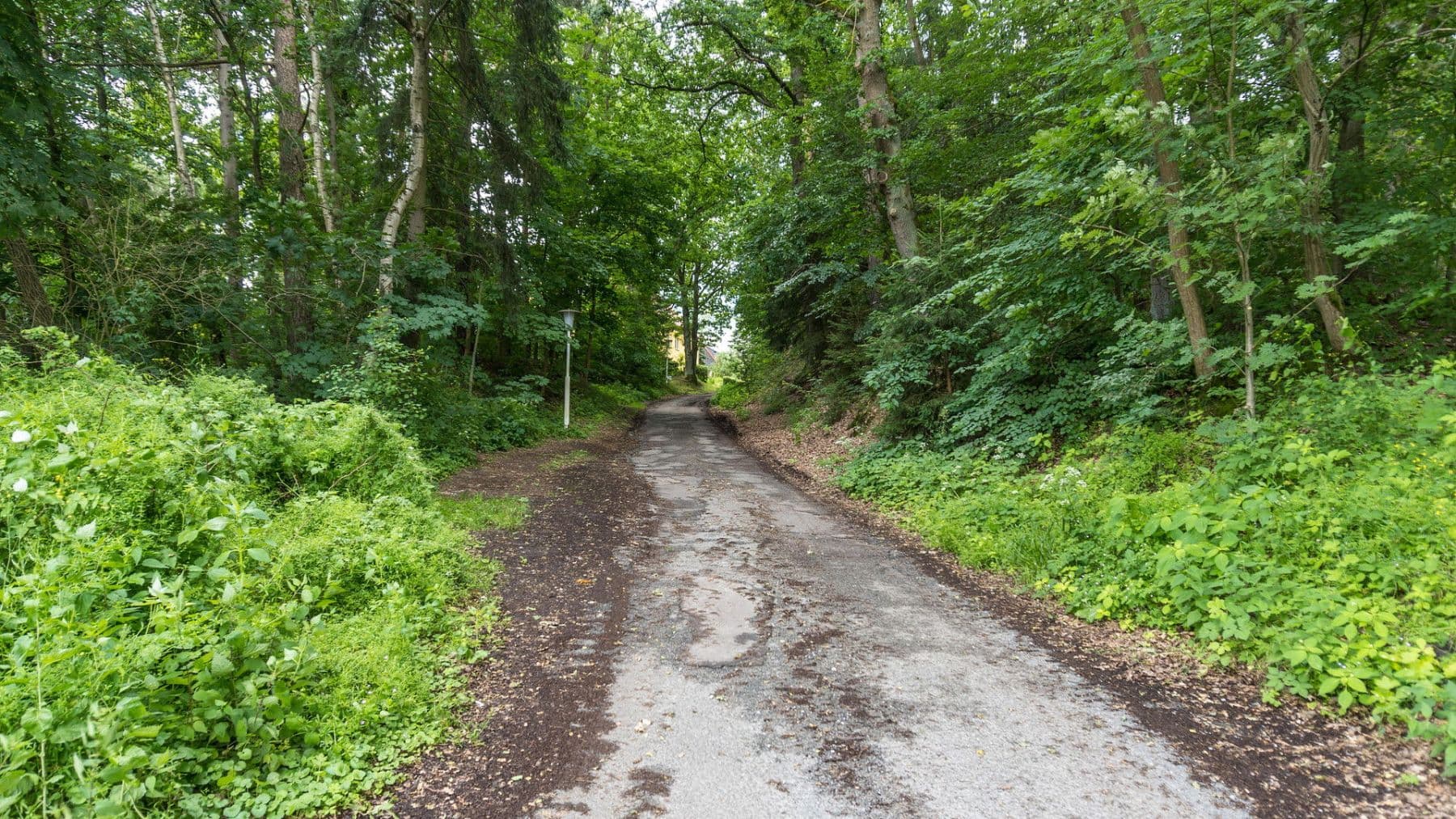 Pronájem bytu 2+1 56 m², Waldstraße 1, Kranichfeld, Durynsko Pronájem bytu 2+1 56 m², Waldstraße 1, Kranichfeld, Durynsko