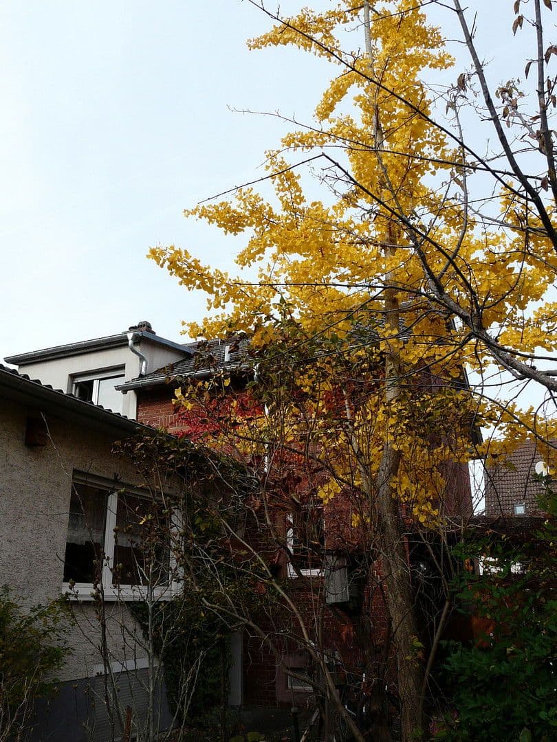 Prodej domu 160 m², pozemek 346 m², Weiterstädter Strasse 74, Darmstadt, Hessen Prodej domu 160 m², pozemek 346 m², Weiterstädter Strasse 74, Darmstadt, Hessen