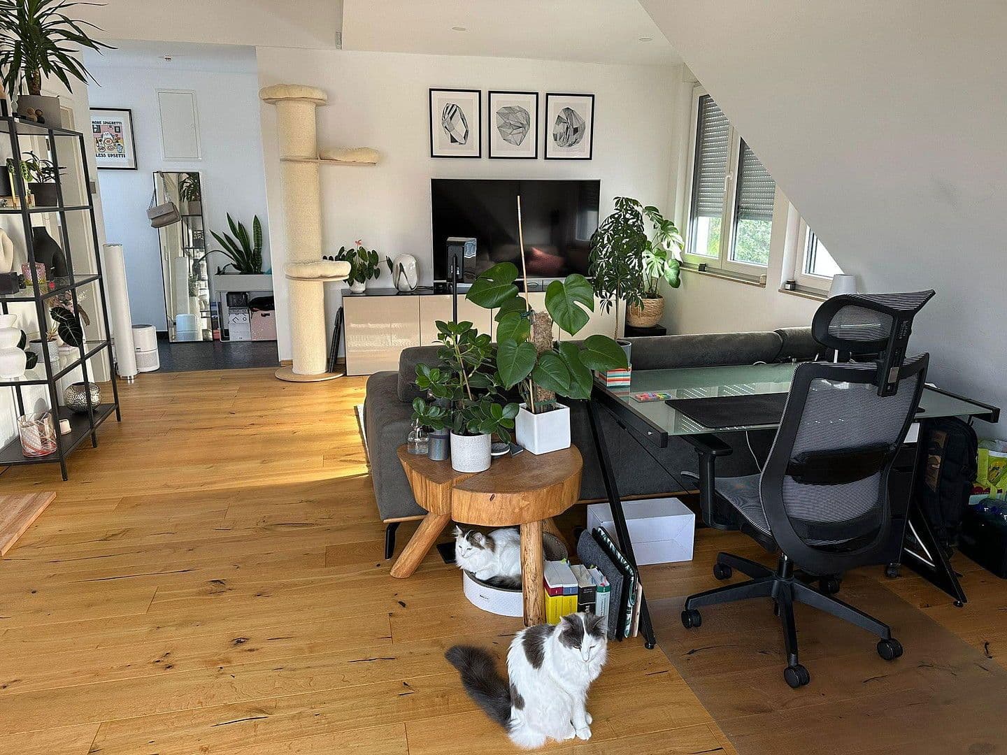 Pronájem bytu 2+1 63 m², Darmstadt, Hessen Pronájem bytu 2+1 63 m², Darmstadt, Hessen