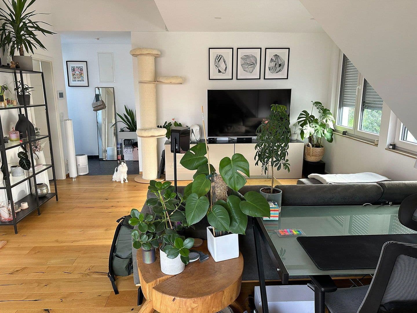 Pronájem bytu 2+1 63 m², Darmstadt, Hessen Pronájem bytu 2+1 63 m², Darmstadt, Hessen