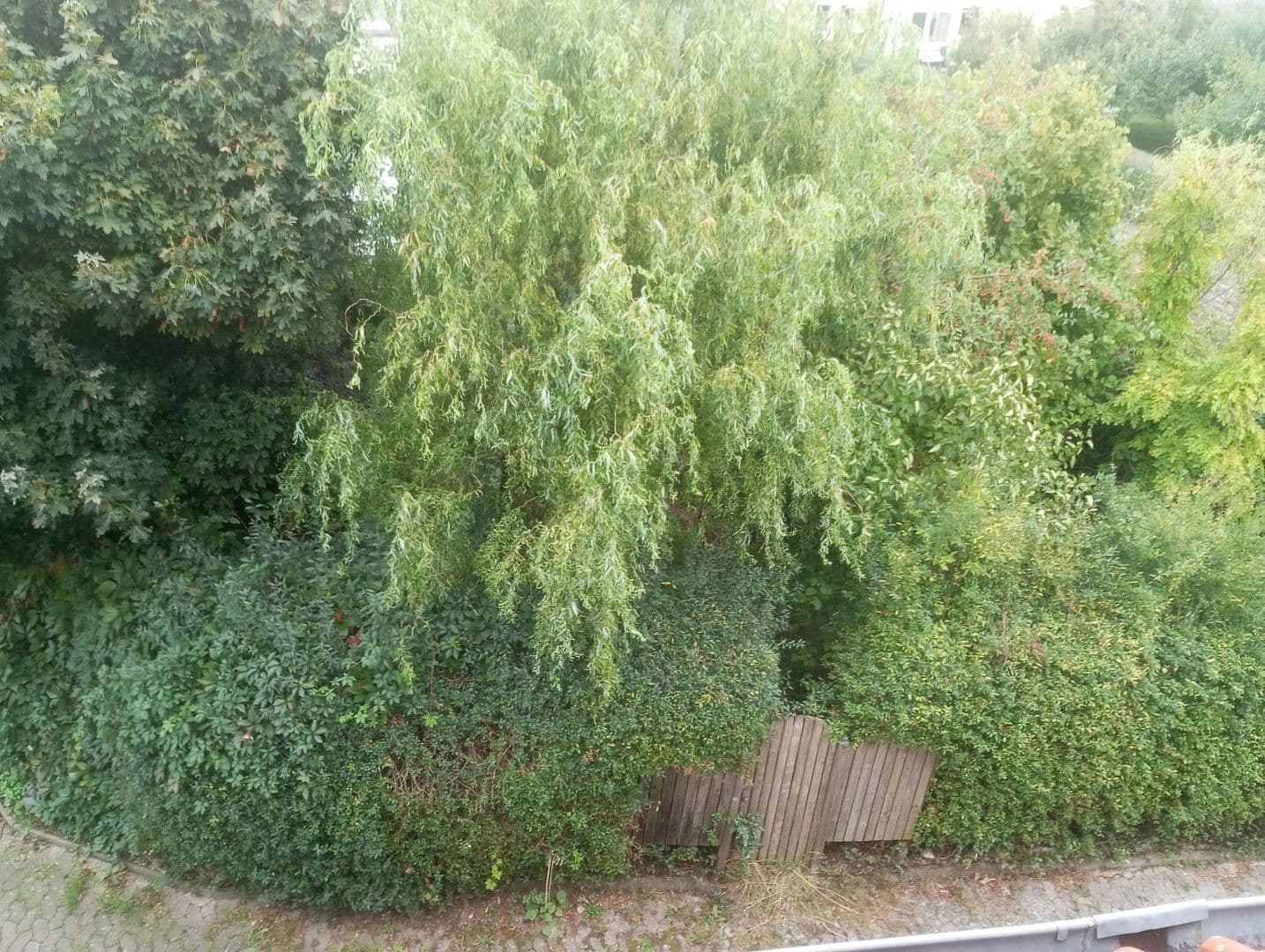 Prodej domu 160 m², pozemek 450 m², Göttingen, Dolní Sasko Prodej domu 160 m², pozemek 450 m², Göttingen, Dolní Sasko