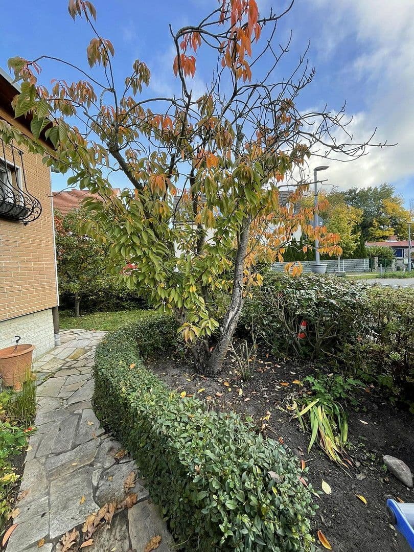 Prodej domu 91 m², pozemek 511 m², Berlin Tempelhof-Schöneberg, Berlín Prodej domu 91 m², pozemek 511 m², Berlin Tempelhof-Schöneberg, Berlín