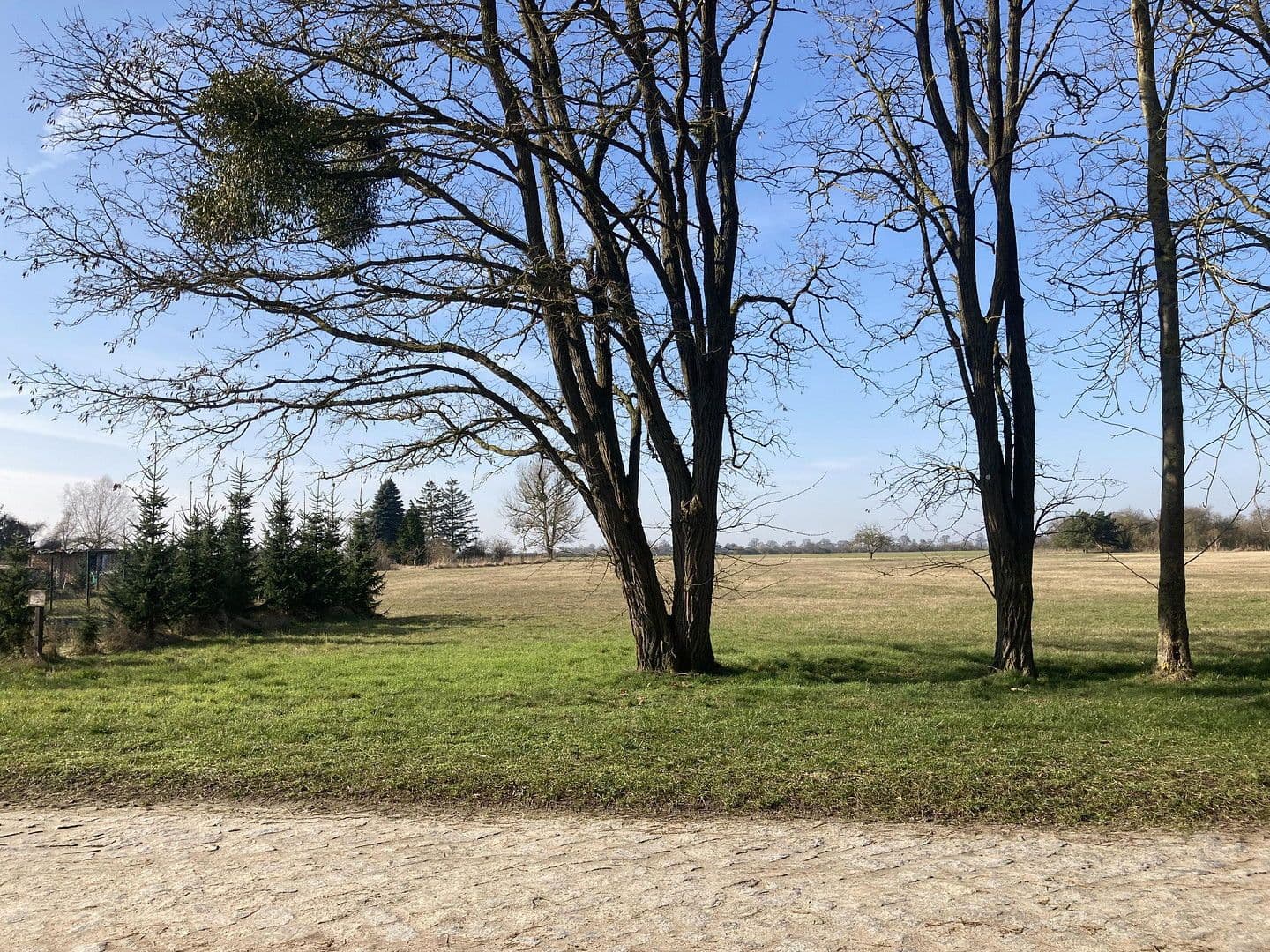 Prodej domu 75 m², pozemek 503 m², Schwerinsburg 34, Ducherow, Mecklenburg-Vorpommern Prodej domu 75 m², pozemek 503 m², Schwerinsburg 34, Ducherow, Mecklenburg-Vorpommern