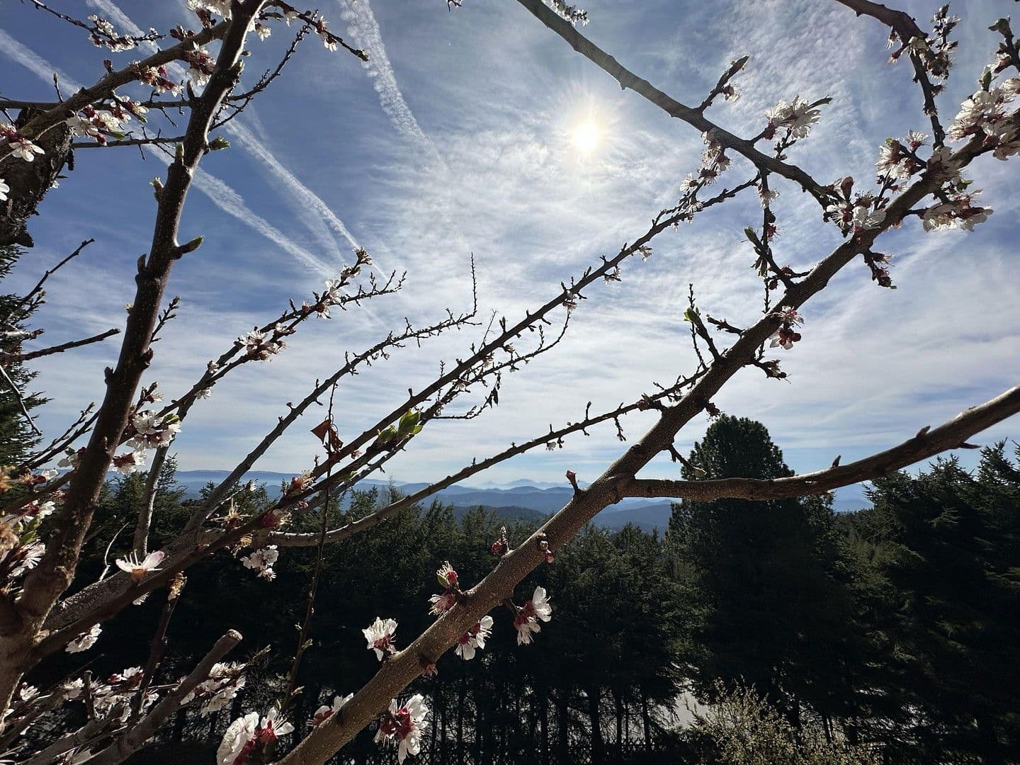 Prodej domu 160 m², pozemek 813 m², Teichweg 3, Hochrindl, Korutany Prodej domu 160 m², pozemek 813 m², Teichweg 3, Hochrindl, Korutany