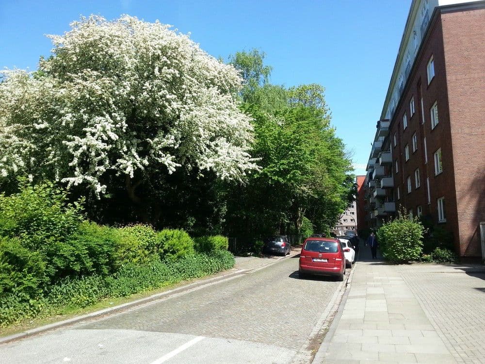 Pronájem bytu 2+1 60 m², Hamburg, Hamburg Pronájem bytu 2+1 60 m², Hamburg, Hamburg